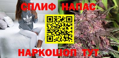 ешки Можга